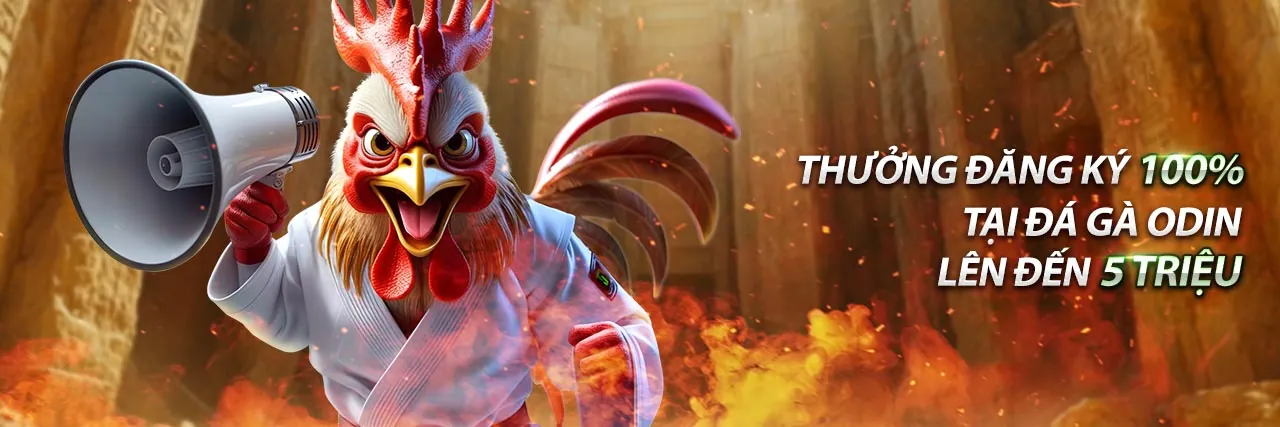 Giao diện người dùng casino 999 hiển thị quy trình đặt cược thể thao từ chọn kèo đến xác nhận